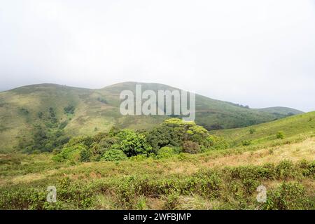 The Brahmagiri Hills are located in the Wayanad District of Kerala and in the Koduk District of Karnataka. Stock Photo