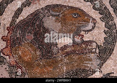 Big cat in detail of Late Roman floor mosaic.  In peristyle adjoining triclinium (dining room) at Villa Romana del Casale, Piazza Armerina, Sicily, Italy. Stock Photo