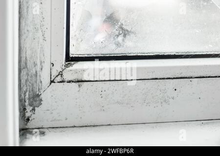 Drops of condensate and black mold on a substandard metal-plastic window. Plastic. Ecology, Stock Photo