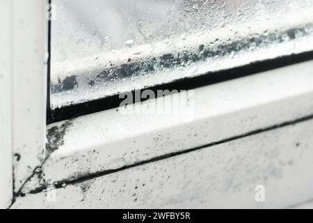 Drops of condensate and black mold on a substandard metal-plastic window. Plastic. Ecology, Stock Photo