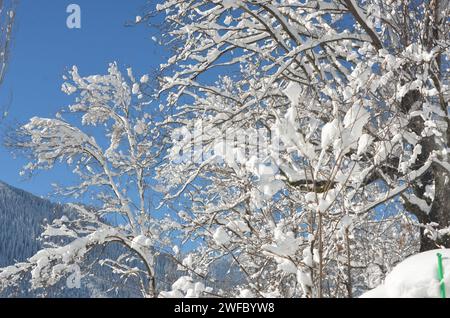 village houses during winter season Stock Photo