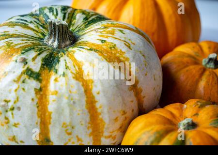 Orange and white pumpkins on a white table Stock Photo