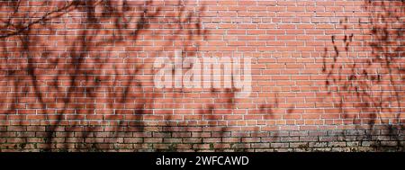 shadow of leaf on brick wall background, sunlight shady sunny brick building wall shade trees shadows afternoon sunset house wall sun morning Stock Photo