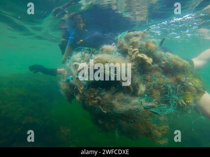 Black Sea, Ukraine. 2nd July, 2023. Freediver picks up lost fishing net lies on green algae in sun glare on shallow water in Black sea, Ghost gear pollution of Ocean, Black sea, Odessa, Ukraine. (Credit Image: © Andrey Nekrasov/ZUMA Press Wire) EDITORIAL USAGE ONLY! Not for Commercial USAGE! Stock Photo