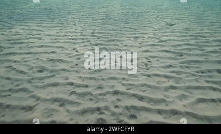 Sandy silty bottom with sunraiy in the morning time. Natural background from the underwater depth, Red sea, Egypt Stock Photo