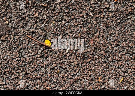 Stone floor on public park Stock Photo