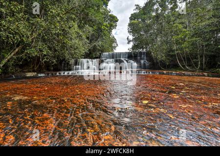 Jasper Canyon in the Canaima National Park - Bolivar State - currency with Brazil Stock Photo