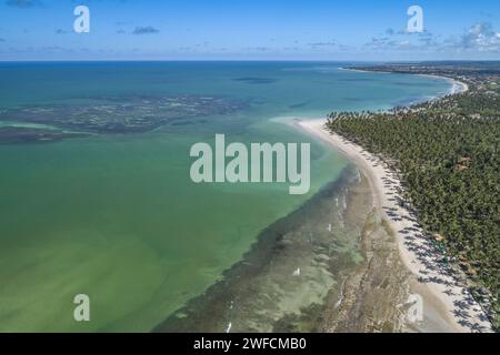 View of drone of reefs and coconut grove in Praia dos Carneiros - Stock Photo