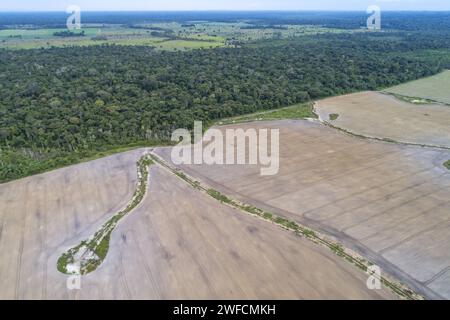 Drone view of deforested area planted with soybeans and preserved Amazon forest stretch - Stock Photo