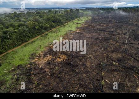 Drone view of illegal deforestation in the Amazon rainforest - Stock Photo
