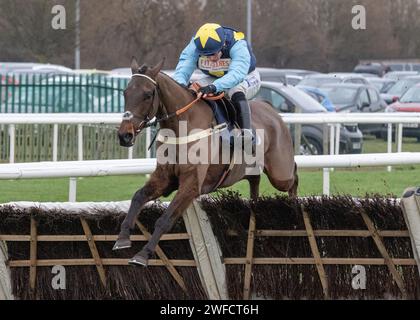 Champagne Twist wins SBK EBF 'National Hunt' Maiden Hurdle at Doncaster on Sun 28 Jan 24 for Ben Pauling, Ben Jones and The Pour Decisions Syndicate Stock Photo