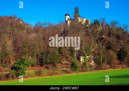 Birseck Castle (Burg Birseck) is located in the municipality of Arlesheim in the canton of Basel-Country. Switzerland. Birseck Castle is situated on a Stock Photo