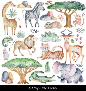 Collection of African animals. Watercolor safari nursery. Cartoon characters giraffe, rhinoceros and set of decorations, footprints and leaves. Stock Photo