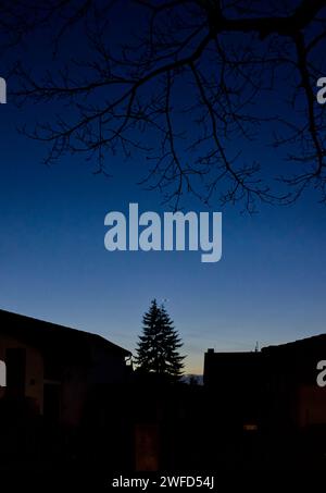 perspective of the silhouettes of a central fir tree and some houses in the late evening sky visualizing some kind of post Christmas winter blues Stock Photo