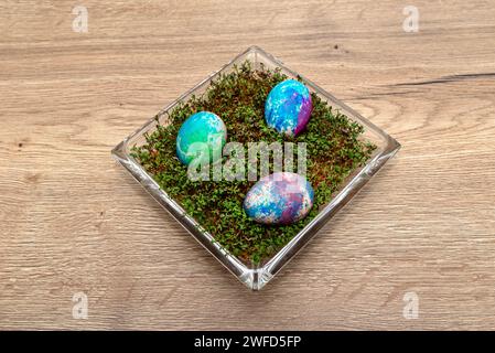 Freshly grown cress grows in a glass square bowl, colored eggs visible. Stock Photo