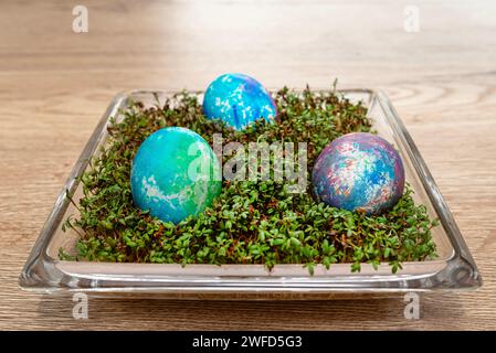 Freshly grown cress grows in a glass square bowl, colored eggs visible. Stock Photo