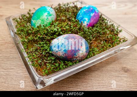 Freshly grown cress grows in a glass square bowl, colored eggs visible. Stock Photo