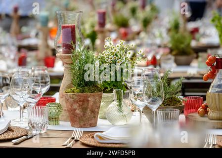 Dining table setting with vase of flowers, bowls, glasses, candles, cutlery, with blurred background. Stock Photo