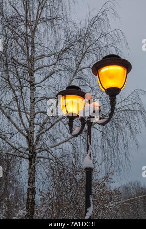 Vintage street lamp against a background of trees without leaves. Stock Photo