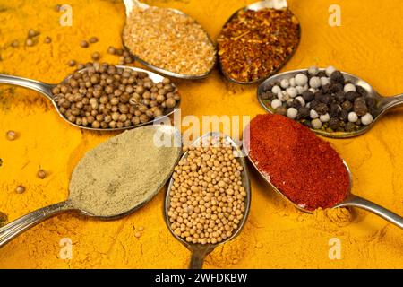 Various spices in vintage spoons Stock Photo