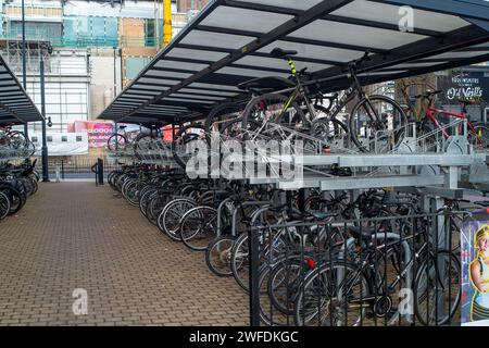 Maidenhead, Berkshire, UK. 29th January, 2024. Commuter bicycles outside Maidenhead Railway Station. More people are using the station due to the Elizabeth Line direct service into London. Credit: Maureen McLean/Alamy Stock Photo