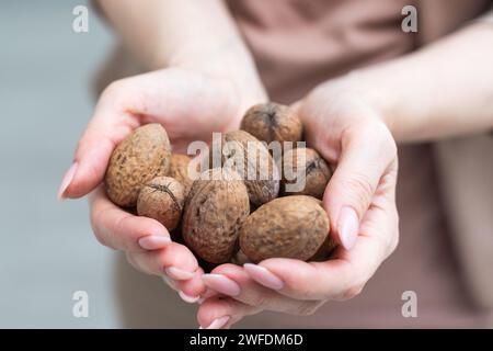 Hand holding nuts in hand shot on gray background Stock Photo