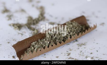 A piece of blunt paper filled with weed close up Stock Photo