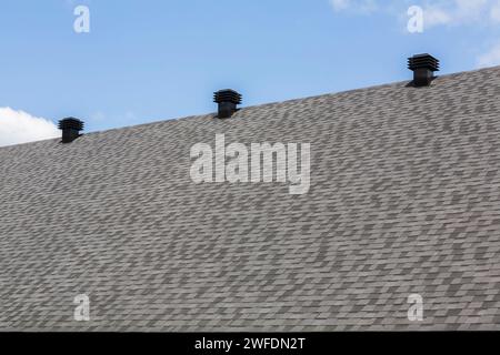 Grey and charcoal asphalt shingles roof with black metal louver vents. Stock Photo