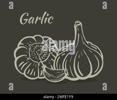 Hand-drawn sketch of a still life with garlic. Heads of garlic and one clove. The illustration is isolated on a dark background. Vector. Stock Vector
