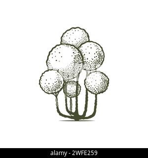 Sketch of topiary coniferous trees. Sheared thuja bonsai. Geometric trees for advertising and landscape design. Isolated on white background. Vector Stock Vector
