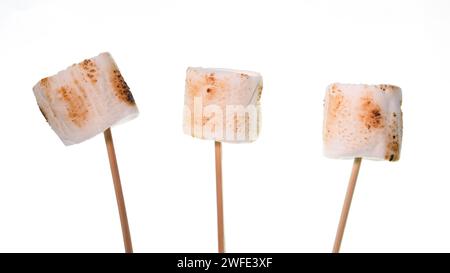 Bamboo sticks with roasted marshmallows on white backgrop Stock Photo