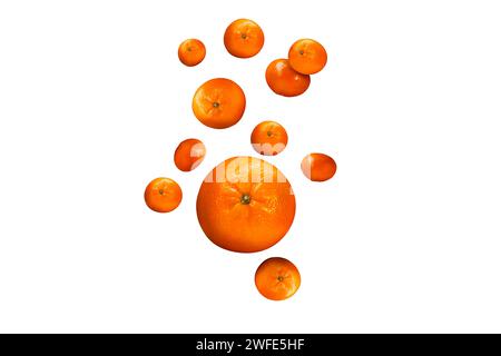 tangerines in fall isolated on white background Stock Photo