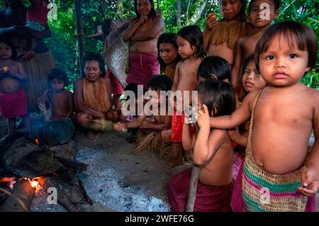 Cooking Yagua Indians living a traditional life near the Amazonian city of Iquitos, Peru.  Yagua, Yahuna, Ñihamwo, Yihamwo, Nihamwo or Mishara are an Stock Photo