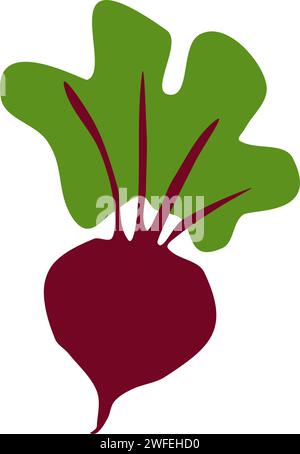 Beetroot Vector Illustration Stock Vector