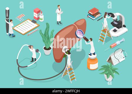 3D Isometric Flat Vector Conceptual Illustration of Liver Health, Medical Diagnosis and Treatment. Stock Vector