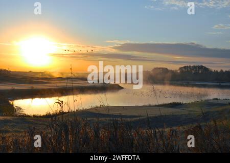 Sunrise in the golf course with migration bird Stock Photo