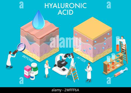 3D Isometric Flat Vector Conceptual Illustration of Hyaluronic Acid Fillers in Facial Rejuvenation, Treatment of the Aging Face. Stock Vector