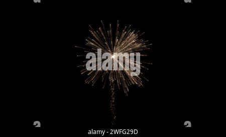 Bloom of firework in dark black background, firework explosion. firework background. Stock Photo