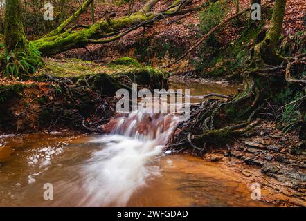 Garden of Eden waterfall in Ashdown Forest east Sussex south east ...