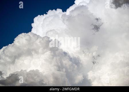 Large white cumulus thunderclouds against a blue sky before rain Stock Photo