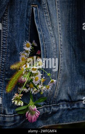 Bouquet of wildflowers in the pocket of a denim jacket Stock Photo