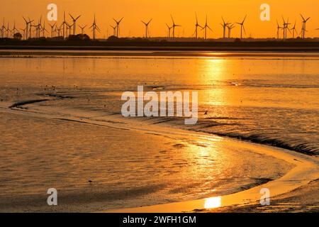 Wadden landscape and many wind turbines in the marshland at sunset, Germany, Lower Saxony, East Frisia, Norddeich Stock Photo