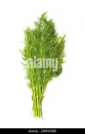 dill bunch isolated on white background Stock Photo
