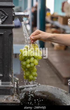 rinsing a bunch of grapes with water at market Stock Photo