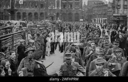 Some of the 2,000 German prisoners taken following the Allies surprise assault on Antwerp, Belgium on the 4th September 1944 during the Second World War Stock Photo