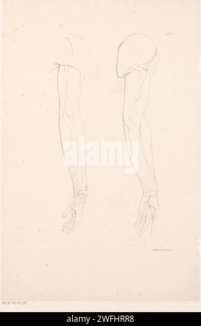 Upper body with muscles, Jean Augustin Daiwaille, 1820 - 1833 print The ...