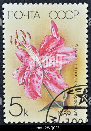 Cancelled postage stamp printed by Soviet Union, that shows Japanese Lily (Lilium speciosum), Garden Lilies, circa 1989. Stock Photo