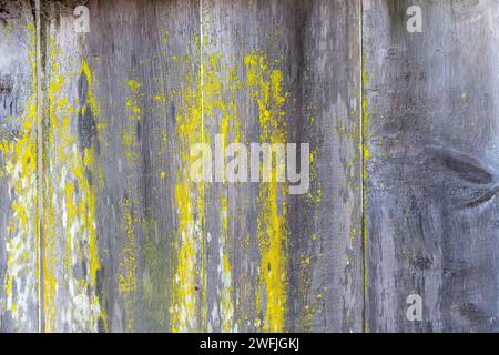 Old wooden fence with lichen. Background. Stock Photo