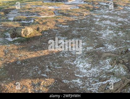 A road covered with snowflake going along the slope of mountain range on a sunny winter day. Space for text, Selective focus. Stock Photo