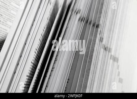 english dictionary pages in opened book Stock Photo